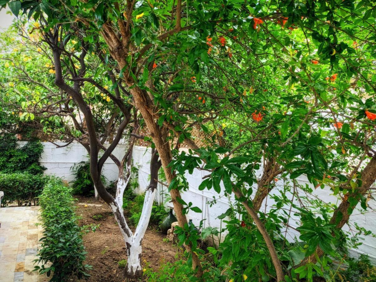 House With Garden In City Of Rhodes Rhodes City Ngoại thất bức ảnh